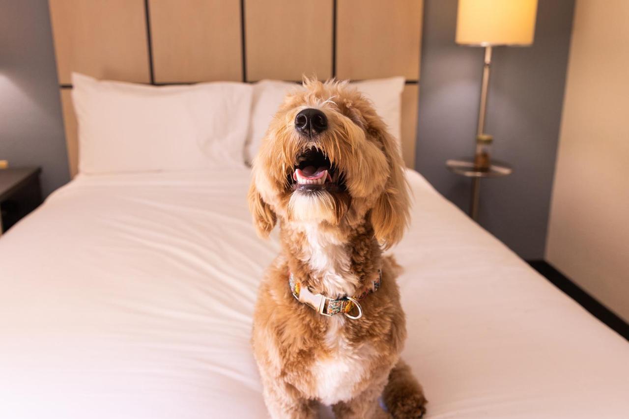 Sonesta Simply Suites Detroit Troy Ngoại thất bức ảnh