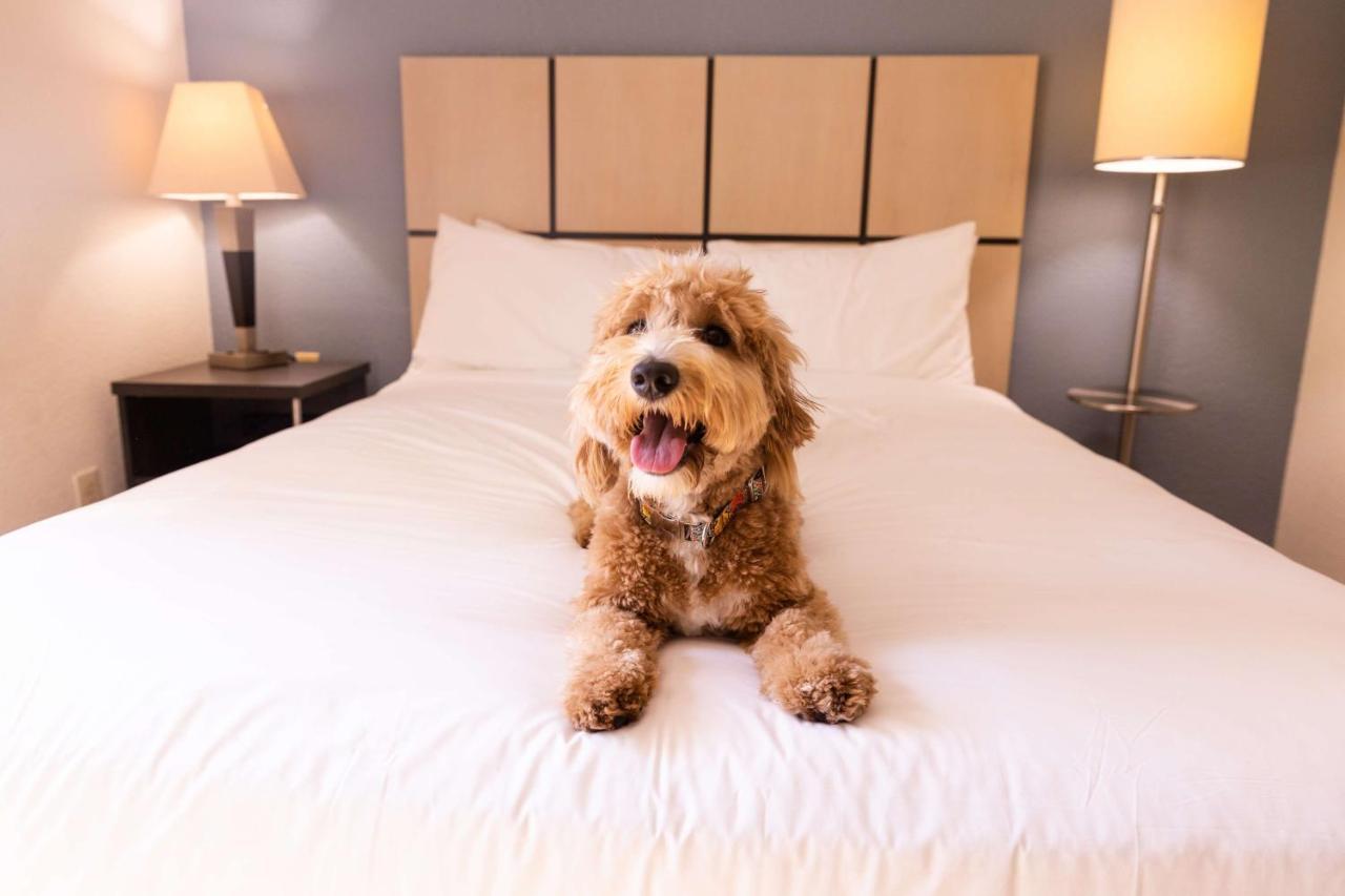 Sonesta Simply Suites Detroit Troy Ngoại thất bức ảnh